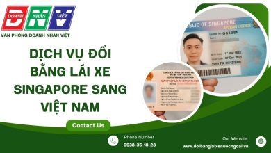 Dịch vụ đổi bằng lái xe Singapore sang Việt Nam