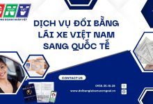Dịch vụ đổi bằng lái xe Việt Nam sang quốc tế