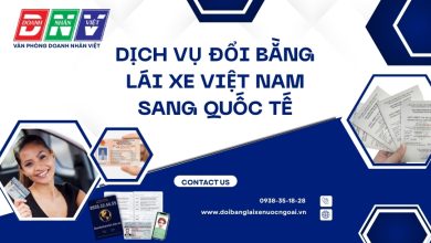 Dịch vụ đổi bằng lái xe Việt Nam sang quốc tế
