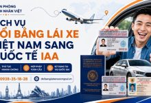 Dịch vụ đổi bằng lái xe Việt Nam sang quốc tế IAA
