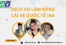 Dịch vụ làm bằng lái xe quốc tế IAA