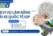 Dịch vụ làm bằng lái xe quốc tế IDP