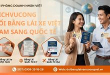 Dichvucong đổi bằng lái xe Việt Nam sang quốc tế