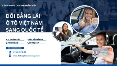 Đổi bằng lái ô tô Việt Nam sang quốc tế