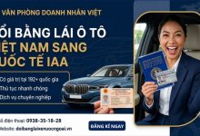 Đổi bằng lái ô tô Việt Nam sang quốc tế IAA