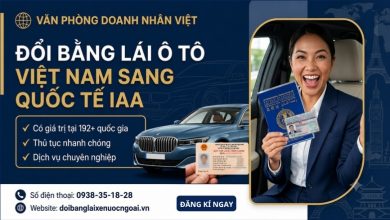 Đổi bằng lái ô tô Việt Nam sang quốc tế IAA