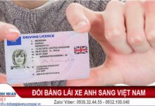 Đổi bằng lái xe Anh sang Việt Nam