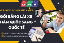 Đổi bằng lái xe Hàn Quốc sang quốc tế