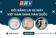 Đổi bằng lái xe máy Việt Nam sang Hàn Quốc