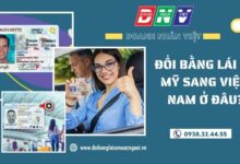 Đổi bằng lái xe Mỹ sang Việt Nam ở đâu