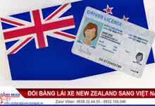 Đổi bằng lái xe New Zealand sang Việt Nam