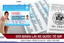 Đổi bằng lái xe ô tô quốc tế iaa-idp