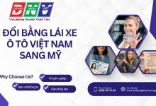 Đổi bằng lái xe ô tô Việt Nam sang Mỹ