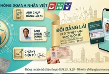 Đổi bằng lái xe ô tô Việt Nam sang quốc tế