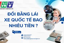 Đổi bằng lái xe quốc tế bao nhiêu tiền