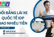 Đổi bằng lái xe quốc tế IDP bao nhiêu tiền