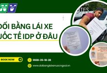 Đổi bằng lái xe quốc tế IDP ở đâu
