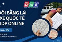 Đổi bằng lái xe quốc tế IDP online