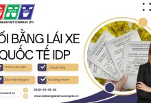 Đổi bằng lái xe quốc tế IDP