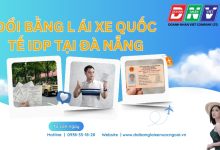 Đổi bằng lái xe quốc tế IDP tại Đà Nẵng