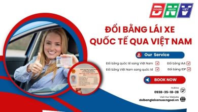Đổi bằng lái xe quốc tế qua Việt Nam
