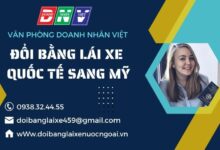 Đổi bằng lái xe quốc tế sang Mỹ