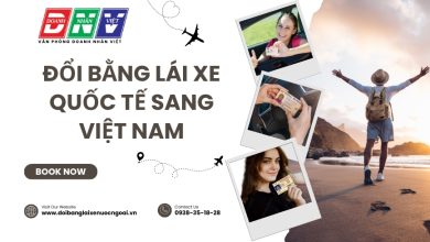 Đổi bằng lái xe quốc tế sang Việt Nam