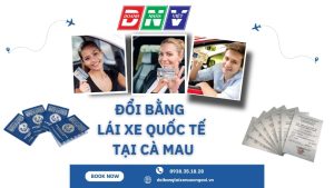 Đổi bằng lái xe quốc tế tại Cà Mau