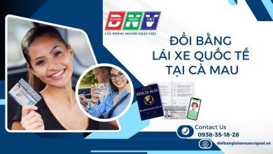 Đổi bằng lái xe quốc tế tại Cà Mau
