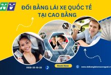 Đổi bằng lái xe quốc tế tại Cao Bằng