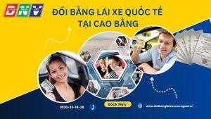 Đổi bằng lái xe quốc tế tại Cao Bằng