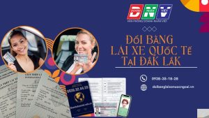 Đổi bằng lái xe quốc tế tại Đắk Lắk