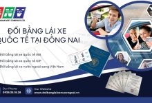 Đổi bằng lái xe quốc tế tại Đồng Nai