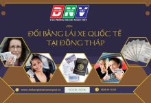 Đổi bằng lái xe quốc tế tại Đồng Tháp