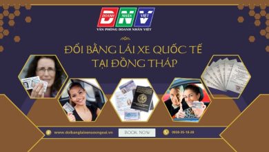 Đổi bằng lái xe quốc tế tại Đồng Tháp