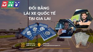 Đổi bằng lái xe quốc tế tại Gia Lai