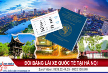 Đổi bằng lái xe quốc tế tại Hà Nội