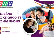 Đổi bằng lái xe quốc tế tại Hải Phòng