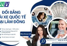 Đổi bằng lái xe quốc tế tại Lâm Đồng