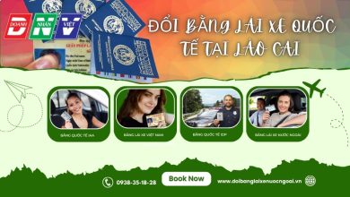 Đổi bằng lái xe quốc tế tại Lào Cai
