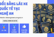 đổi bằng lái xe quốc tế tại Nghệ An