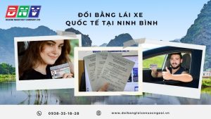 Đổi bằng lái xe quốc tế tại Ninh Bình