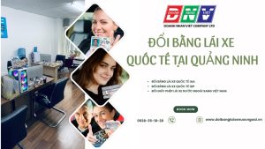 Đổi bằng lái xe quốc tế tại Quảng Ninh