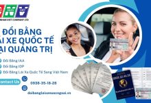 Đổi bằng lái xe quốc tế tại Quảng Trị