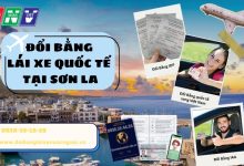 Đổi bằng lái xe quốc tế tại Sơn La