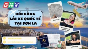 Đổi bằng lái xe quốc tế tại Sơn La