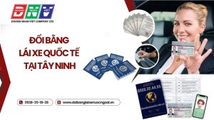Đổi bằng lái xe quốc tế tại Tây Ninh