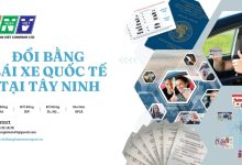 Đổi bằng lái xe quốc tế tại Tây Ninh