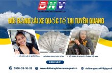 Đổi bằng lái xe quốc tế tại Tuyên Quang