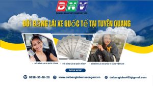 Đổi bằng lái xe quốc tế tại Tuyên Quang